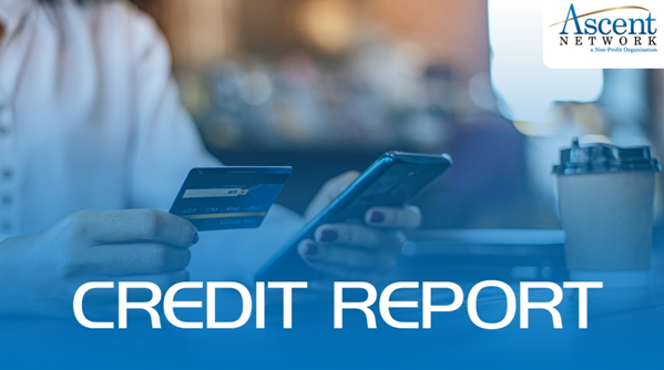 Removing Credit Inquiries from Credit Report